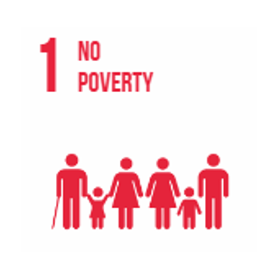 SDG 1