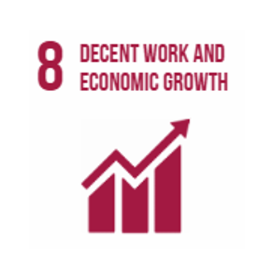 SDG 8